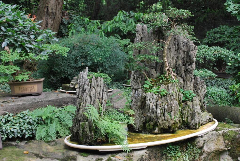 26B0D7FF-366A-4F38-8AC3-2BC8C8F00478-scaled