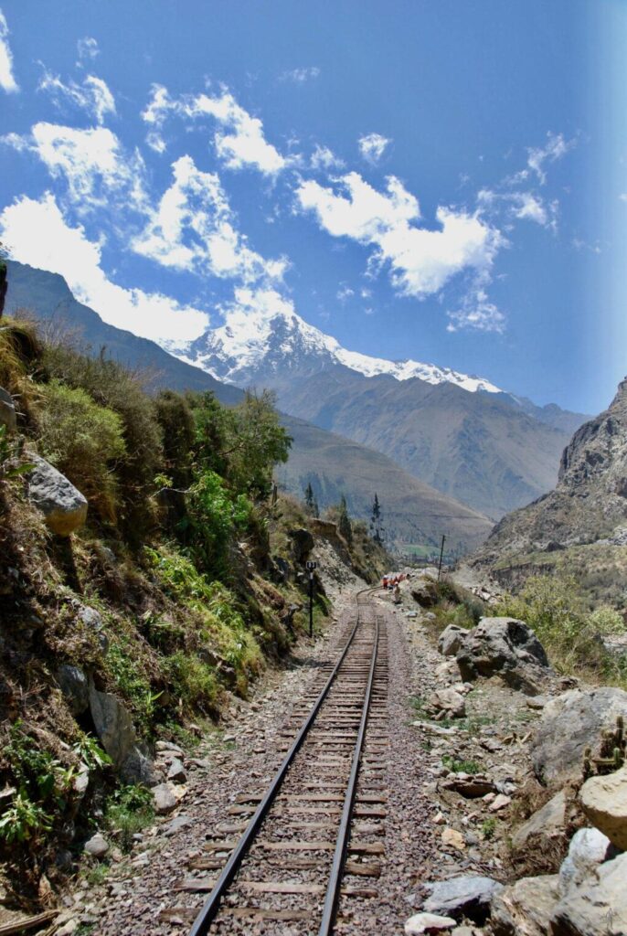 3EFFD569-890D-484A-AFFA-AAA23FA45B21_1_201_a-scaled-686×1024