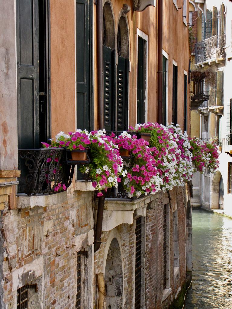 48A85826-A70C-4917-A8BB-039778EDA870_1_105_c