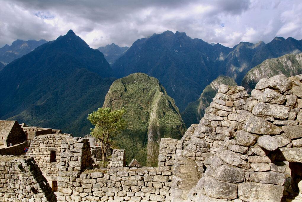 6BC01DF9-2C90-4AD9-9508-A1A8A0174A44_1_201_a-scaled