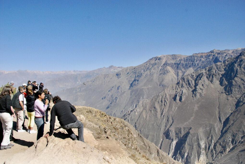 7EAB56A1-8519-4DA8-B793-DF9DB8AC64A0_1_105_c