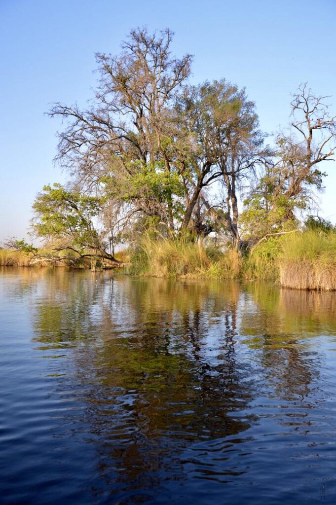 83B5C53D-B43C-404D-B836-CFE34758690B_1_105_c-681×1024