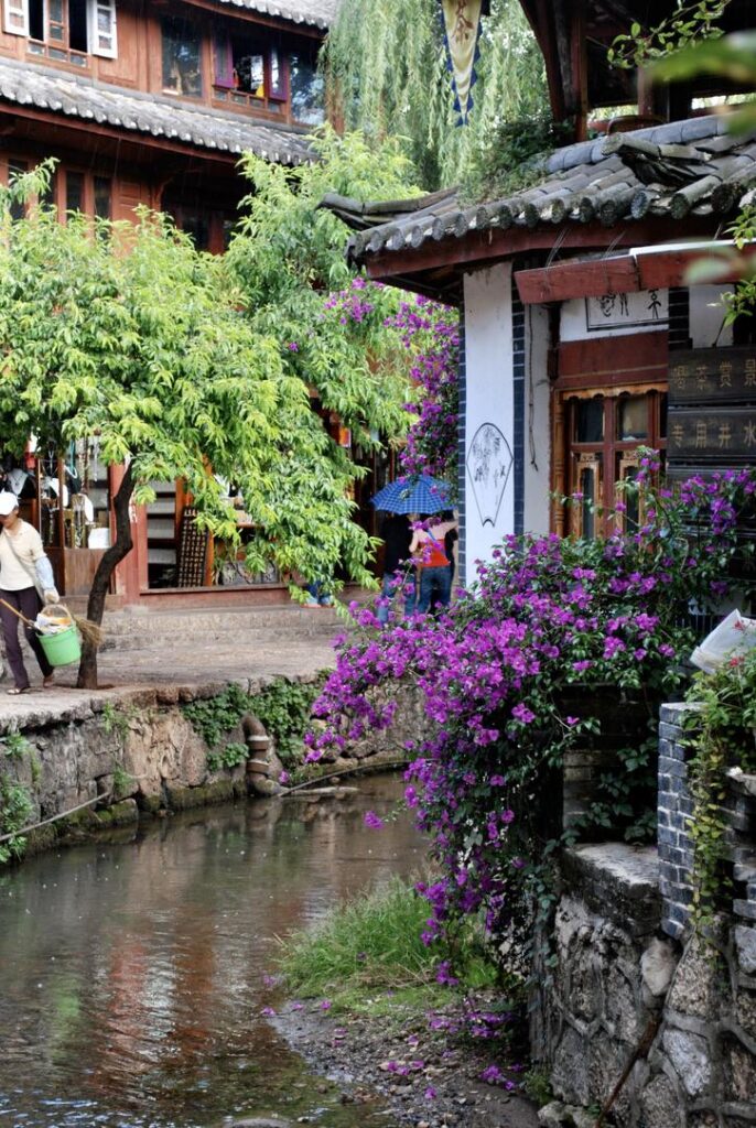 8F7EBA7D-19D9-4F83-9CAB-03E39D116DAE_1_105_c-686×1024