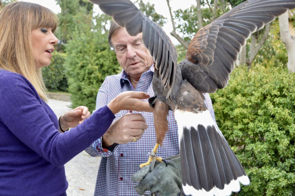 EAC2C23B-E52C-4F4B-A449-A64AA1ADE59D_1_105_c