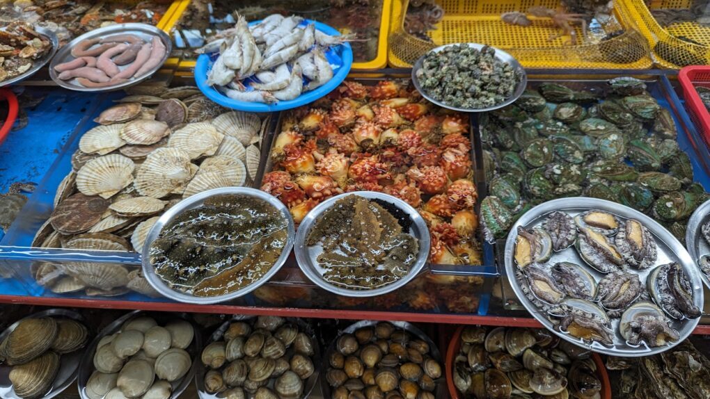 watermarked-66a382327b095