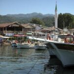 9F70172A-DD10-4336-8708-7E69B745299C_1_105_c